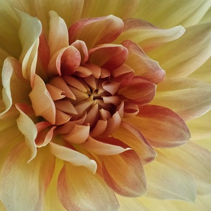 Photographer JONI SIMONS  NV United States